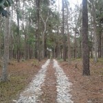 sandyhill2.jpg